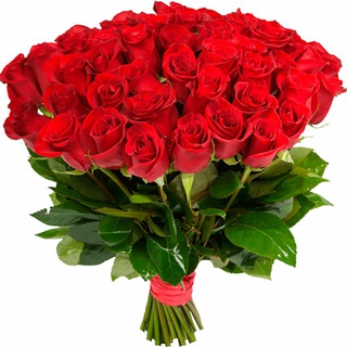 Телеграм бот Магазин цветов "Камелия" - пример бота-магазина