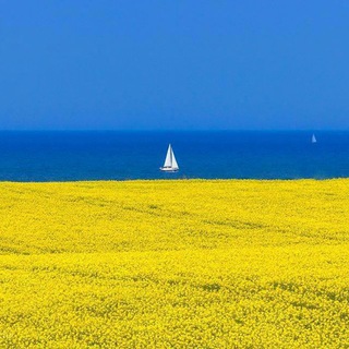 Телеграм бот National Geographic Ukraine